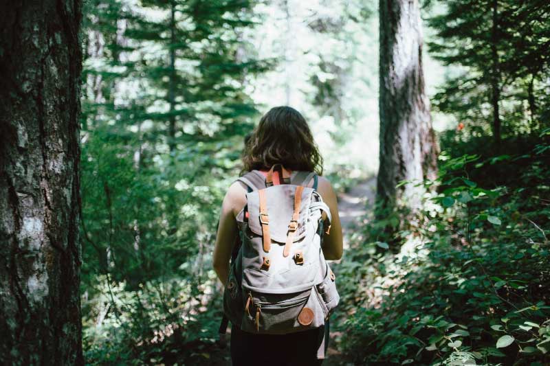 Easy Activities to Get Out of the House and Into Nature