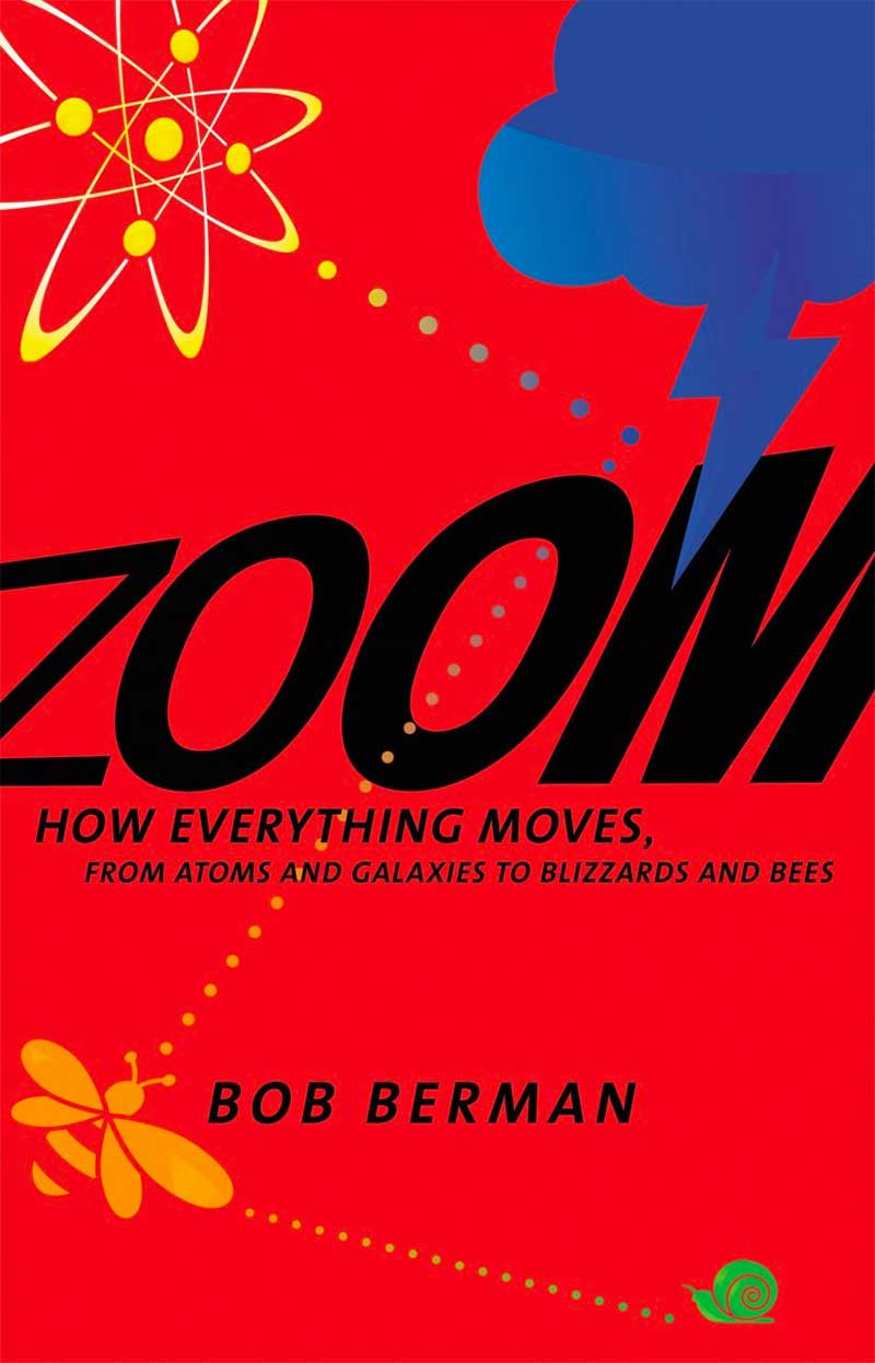 Zoom : comment tout bouge