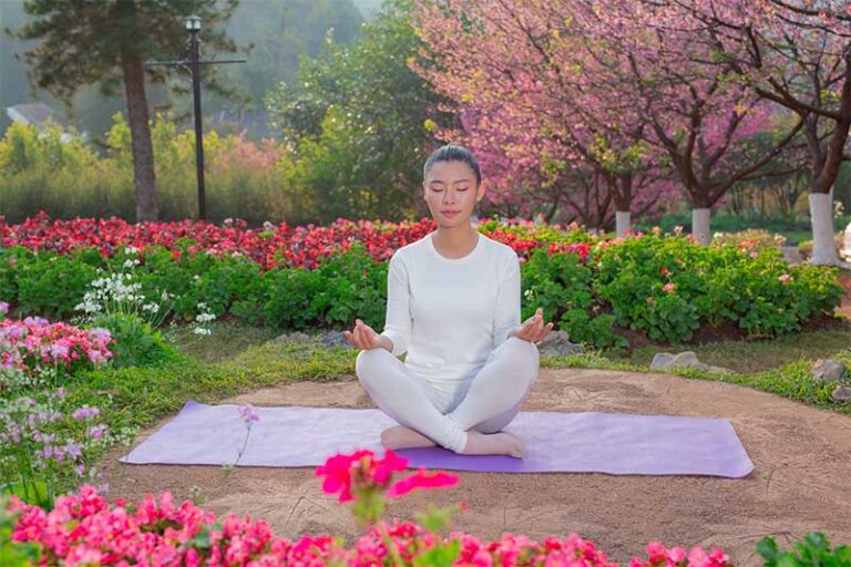 Découvrez la tranquillité et la découverte de soi : un voyage vers des retraites de yoga au Japon