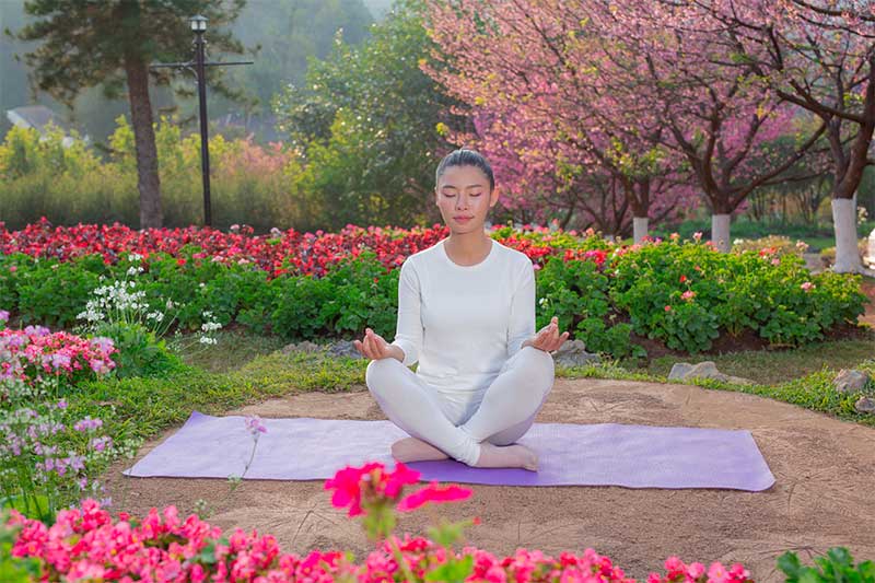 Un voyage vers des retraites de yoga au Japon