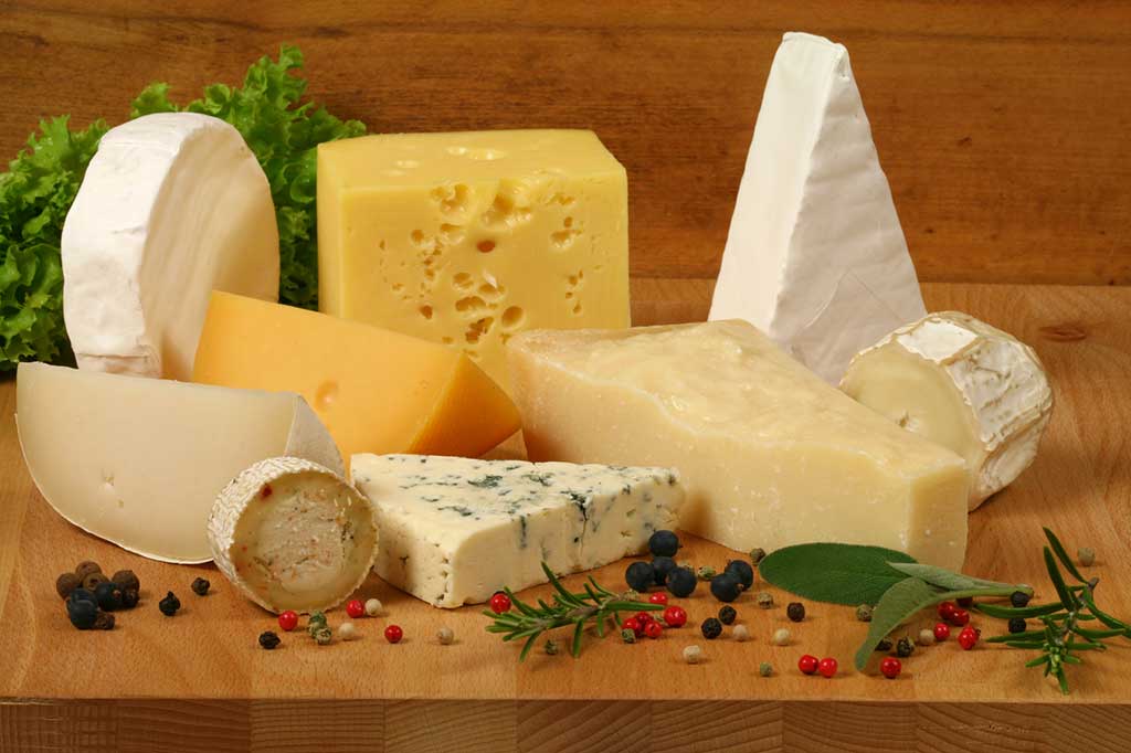 Exploring the Historical Sources of Iconic Cheeses