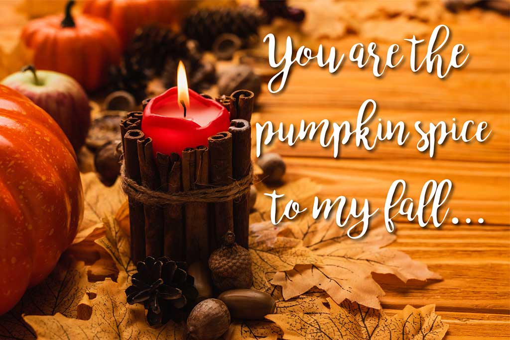 From Candles to Cocktails: Pumpkin Spice in Every Aspect of Fall