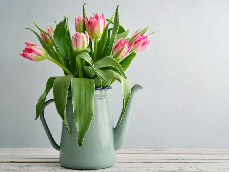que faire pour que les tulipes durent longtemps ?