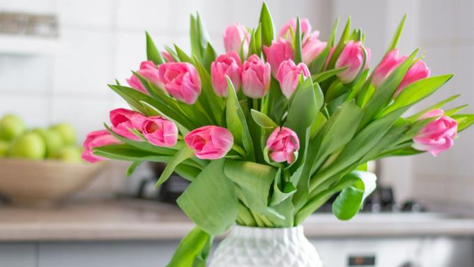 Les tulipes dans un vase sont une belle décoration, mais savez-vous comment en prendre soin pour qu'elles durent longtemps ?  On vous donne un indice !