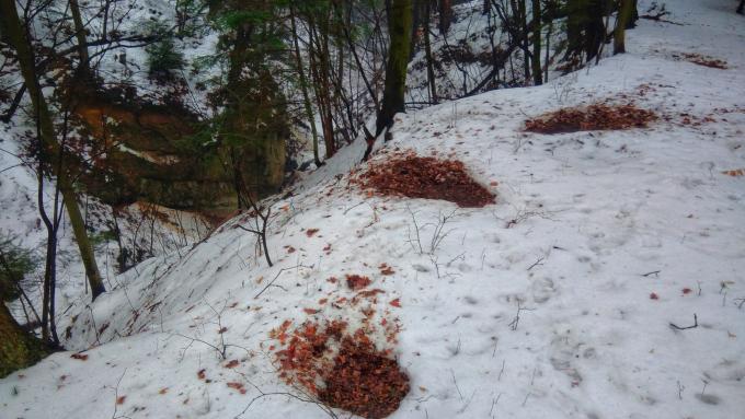 Mystérieuses "crêpes chauffées" dans la neige.  Il suffit de voir qui en est responsable