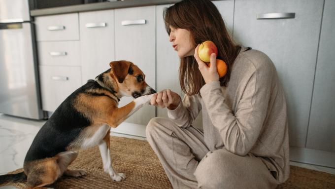 3 fruits qui feront gravement du mal à votre chien.  Ne les lui donnez sous aucun prétexte