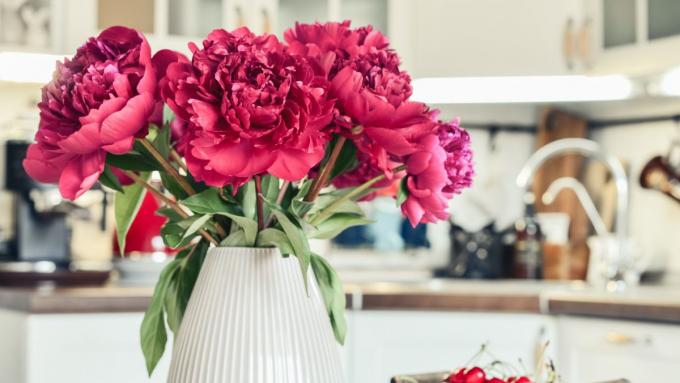 Comment faire durer les fleurs plus longtemps ?  Ces conseils vous aideront à prendre soin de votre bouquet de fleurs coupées et à prolonger sa durée de vie