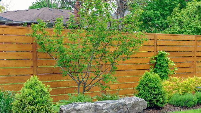 Les idées pour aménager un jardin près d’une clôture incluent bien plus que de simples haies.  Choisissez également des arbustes décoratifs, des rocailles et du mobilier de jardin