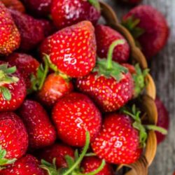 Les fraises ont de nombreuses variétés.  Découvrez lesquelles sont les meilleures à choisir pour votre jardin et quelles sont les différences entre chaque variété.