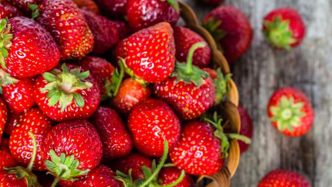 Les fraises ont de nombreuses variétés.  Découvrez lesquelles sont les meilleures à choisir pour votre jardin et quelles sont les différences entre chaque variété.