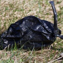 Un habitant de la commune Krobia a trouvé un sac abandonné dans un fossé.  Ce qui est le plus terrifiant, c'est son contenu