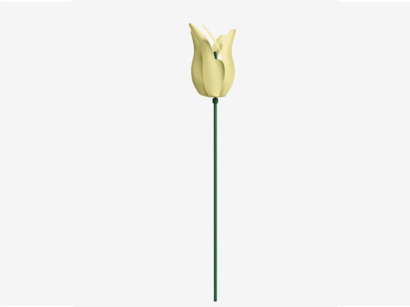 Tulipes décoratives