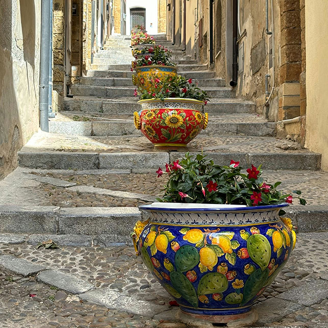 Grands vases en céramique de couleur décorés de fleurs et de voyous de l'Inde sur un escalier