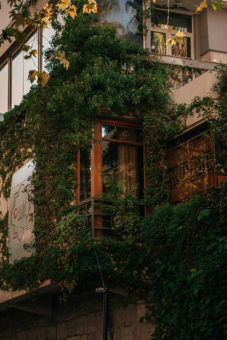 Balcon avec des plantes grimpantes qui créent un coin vert et relaxant.