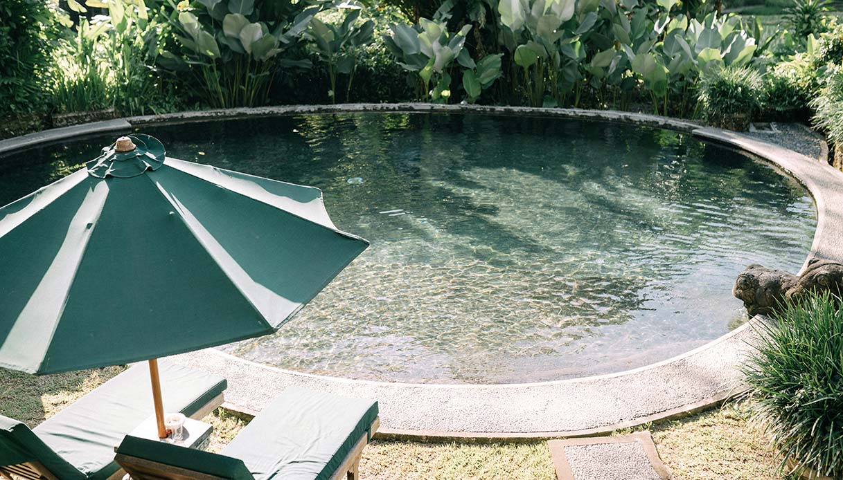 Étang rond dans un jardin tropical avec transats et parasol