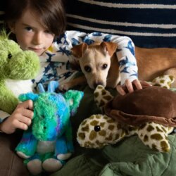 Les animaux en peluche sont des aimants à germes : voici comment les laver