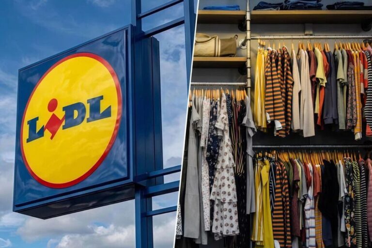 Aujourd&rsquo;hui la solution pour mettre de l&rsquo;ordre dans vos placards arrive chez Lidl pour moins de 4 euros