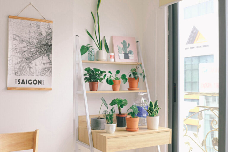 Lidl brade les étagères au design moderne parfaites pour le coin travail pour 24,99 euros